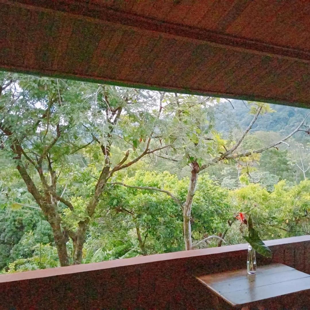 Vila Casa Miramar Uvita Exteriér fotografie